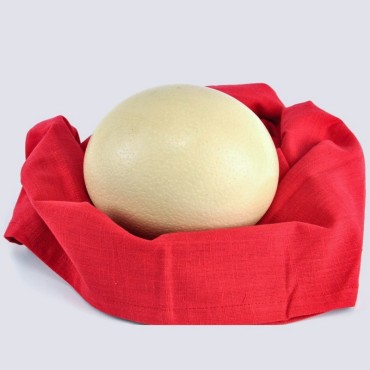 Deve Kuşu Yumurtası...