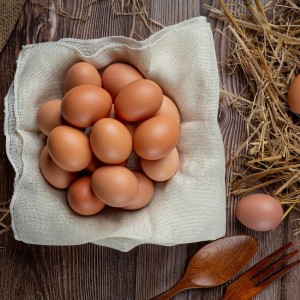 Gezen Tavuk Yumurtas...